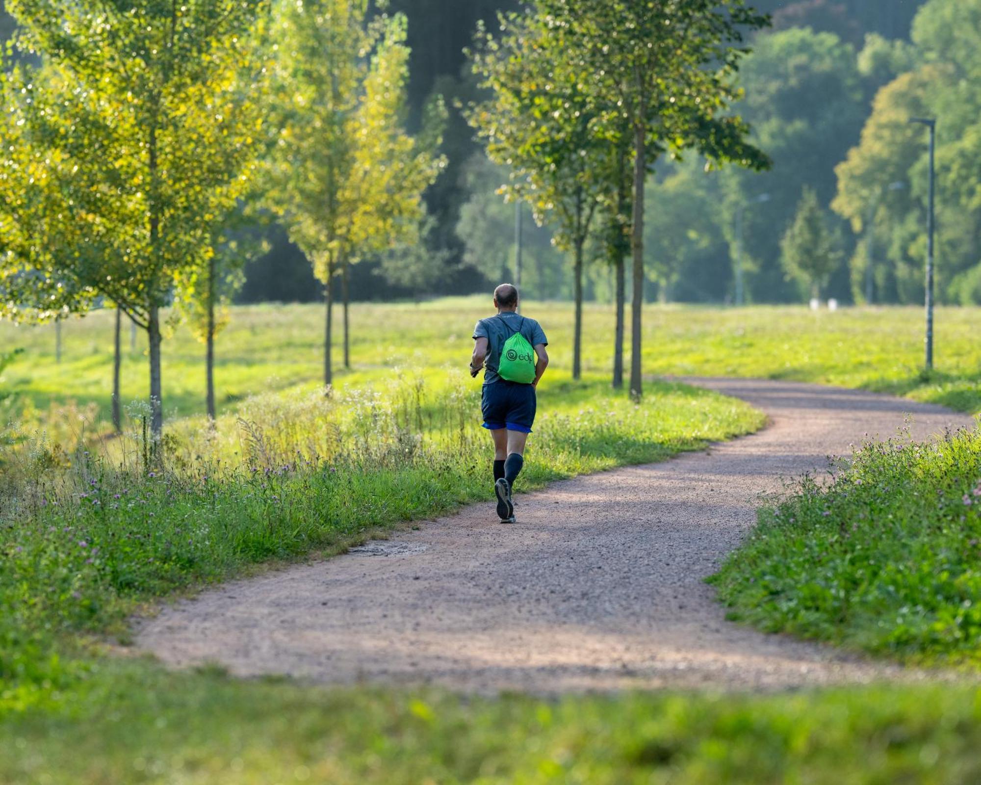 Jugendherberge Freiburg Eksteriør billede